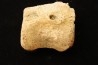 vertebra dinosaur hadrosaure : edmontosaure