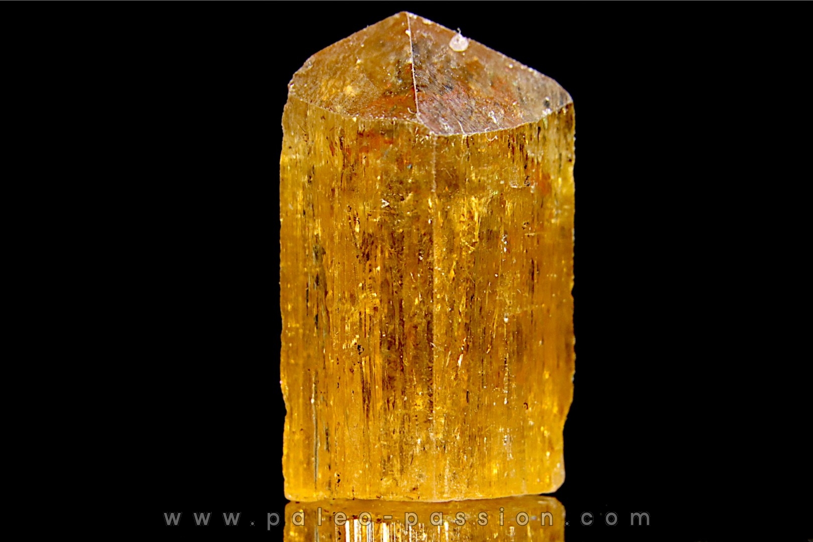 topaze imperial vermelhao ouro preto – Brasil