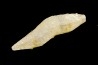 SAPHIR Sri-Lanka