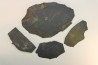GRAPTOLITES  Silurien - Espagne