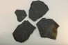 GRAPTOLITES  Silurien - Espagne
