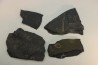 GRAPTOLITES  Silurien - Espagne