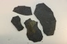 GRAPTOLITES  Silurien - Espagne