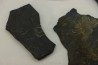 GRAPTOLITES  Silurian - Spain