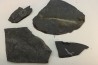 GRAPTOLITES  Silurian - Spain
