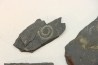 GRAPTOLITES  Silurian - Spain