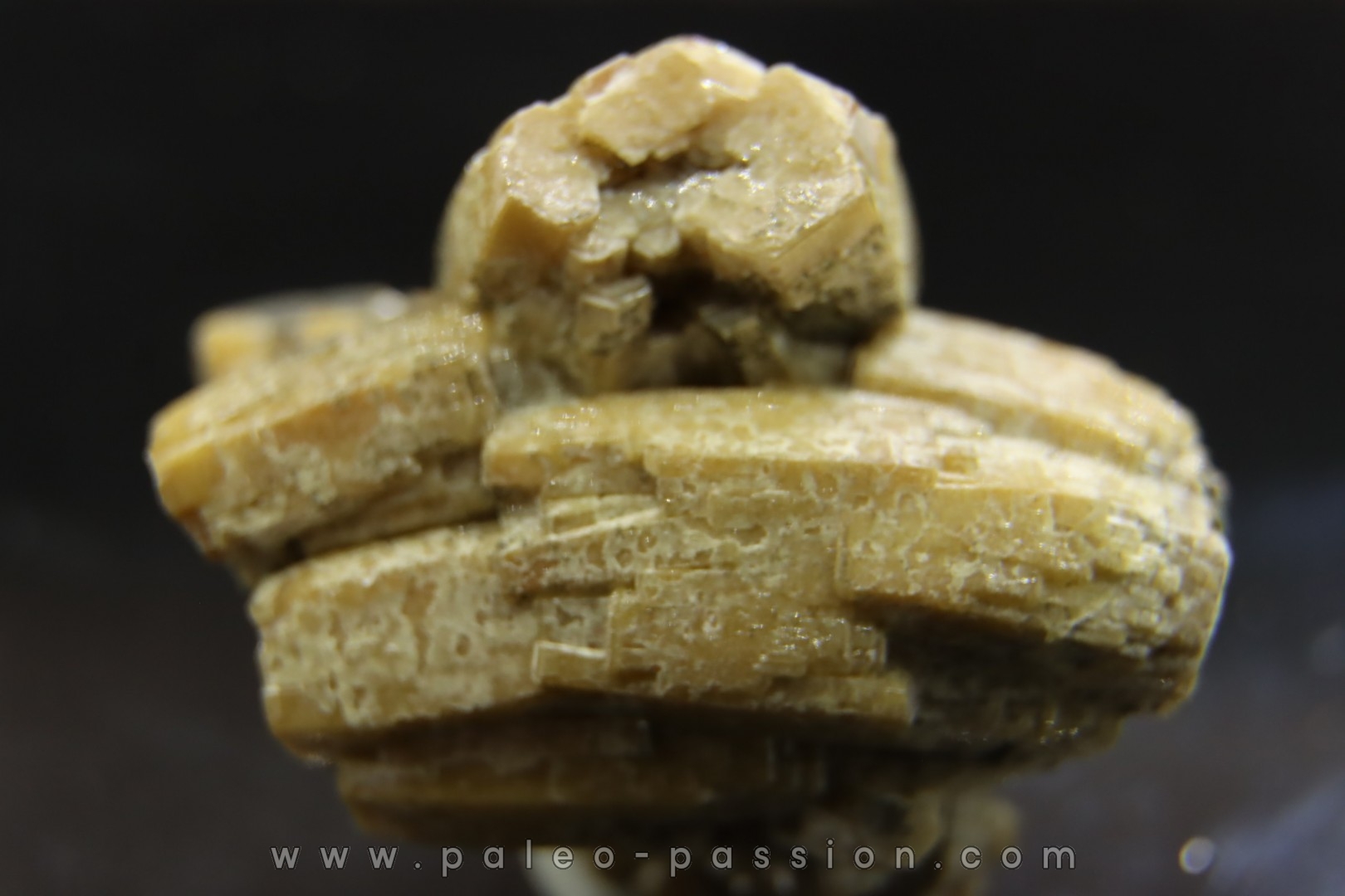 rare cristal ENDLICHITE // Mibladen, Morocco
