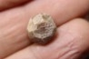 ZIRCON - Grindone, Monte Limidario, Centovalli Tessin, SUISSE