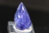 ZOISITE var TANZANITE - Merelani Hills, Arusha Province, TANZANIE