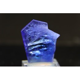 ZOISITE var TANZANITE - Merelani Hills, Arusha Province, TANZANIE