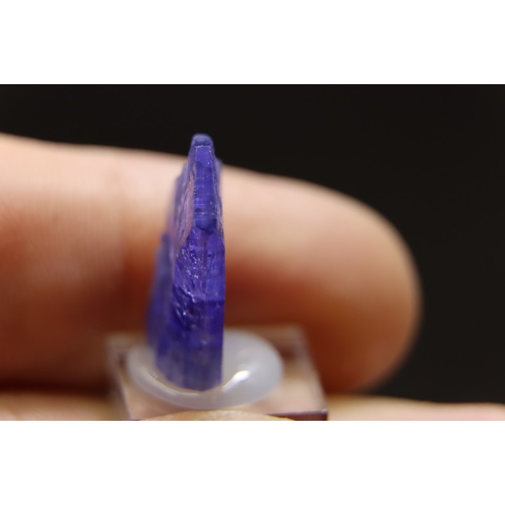 ZOISITE var TANZANITE - Merelani Hills, Arusha Province, TANZANIE