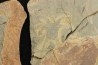 Furca mauretanica - Ordovician - Fezouata fmt, Morocco