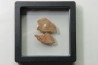 DINOSAUR egg shell MEGALOOLITHUS - from dinosaur TITANOSAURE HYPSELOSAURUS
