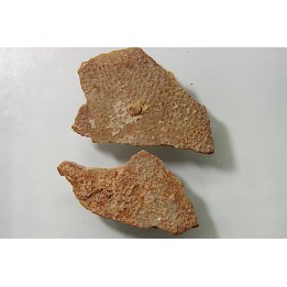 DINOSAUR egg shell MEGALOOLITHUS  - from dinosaur TITANOSAURE  HYPSELOSAURUS