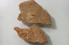 DINOSAUR egg shell MEGALOOLITHUS - from dinosaur TITANOSAURE HYPSELOSAURUS
