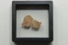 DINOSAUR egg shell MEGALOOLITHUS  - from dinosaur TITANOSAURE  HYPSELOSAURUS