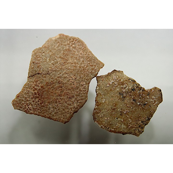 Coquilles d'œufs MEGALOOLITHUS - Du dinosaure TITANOSAURE  HYPSELOSAURUS