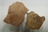 Coquilles d'œufs MEGALOOLITHUS - Du dinosaure TITANOSAURE  HYPSELOSAURUS