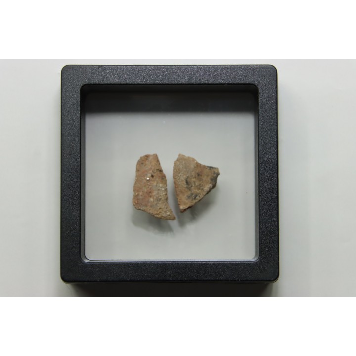 Coquilles d'œufs MEGALOOLITHUS - Du dinosaure TITANOSAURE  HYPSELOSAURUS