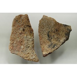 DINOSAUR egg shell MEGALOOLITHUS  - from dinosaur TITANOSAURE  HYPSELOSAURUS