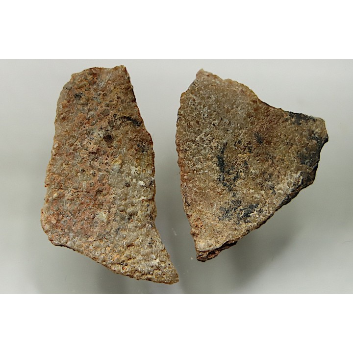 DINOSAUR egg shell MEGALOOLITHUS  - from dinosaur TITANOSAURE  HYPSELOSAURUS