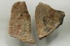 Coquilles d'œufs MEGALOOLITHUS - Du dinosaure TITANOSAURE  HYPSELOSAURUS