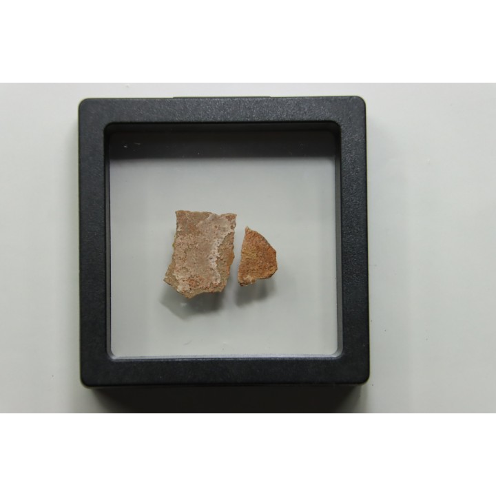 Coquilles d'œufs MEGALOOLITHUS - Du dinosaure TITANOSAURE  HYPSELOSAURUS