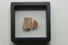 DINOSAUR egg shell MEGALOOLITHUS - from dinosaur TITANOSAURE HYPSELOSAURUS