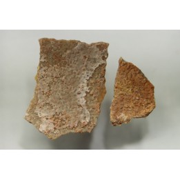 Coquilles d'œufs MEGALOOLITHUS - Du dinosaure TITANOSAURE  HYPSELOSAURUS