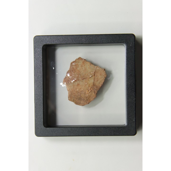 DINOSAUR egg shell MEGALOOLITHUS  - from dinosaur TITANOSAURE  HYPSELOSAURUS