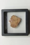 Coquilles d'œufs MEGALOOLITHUS - Du dinosaure TITANOSAURE HYPSELOSAURUS