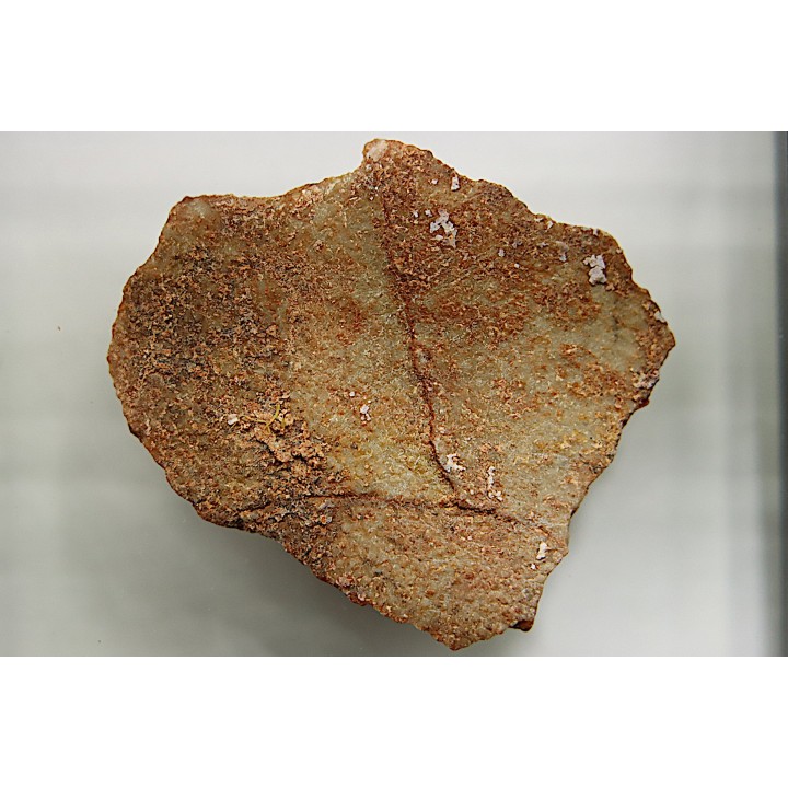 DINOSAUR egg shell MEGALOOLITHUS  - from dinosaur TITANOSAURE  HYPSELOSAURUS
