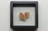 DINOSAUR egg shell MEGALOOLITHUS  - from dinosaur TITANOSAURE  HYPSELOSAURUS