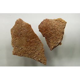 DINOSAUR egg shell MEGALOOLITHUS  - from dinosaur TITANOSAURE  HYPSELOSAURUS