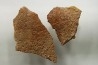 Coquilles d'œufs MEGALOOLITHUS - Du dinosaure TITANOSAURE  HYPSELOSAURUS