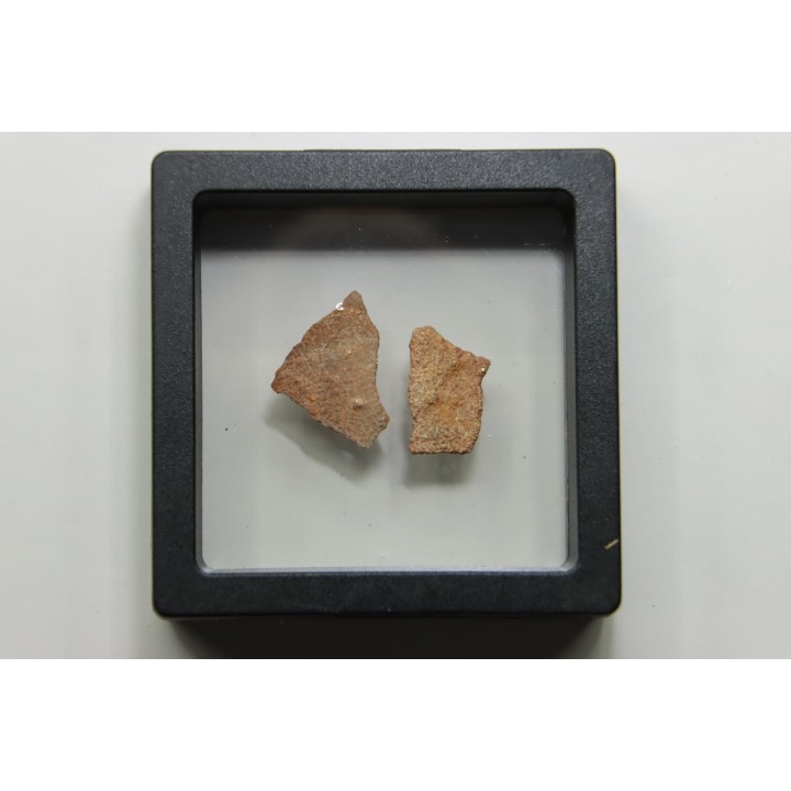 DINOSAUR egg shell MEGALOOLITHUS  - from dinosaur TITANOSAURE  HYPSELOSAURUS