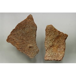 DINOSAUR egg shell MEGALOOLITHUS  - from dinosaur TITANOSAURE  HYPSELOSAURUS