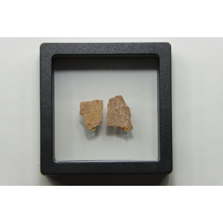 Coquilles d'œufs MEGALOOLITHUS - Du dinosaure TITANOSAURE  HYPSELOSAURUS