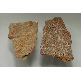 DINOSAUR egg shell MEGALOOLITHUS  - from dinosaur TITANOSAURE  HYPSELOSAURUS