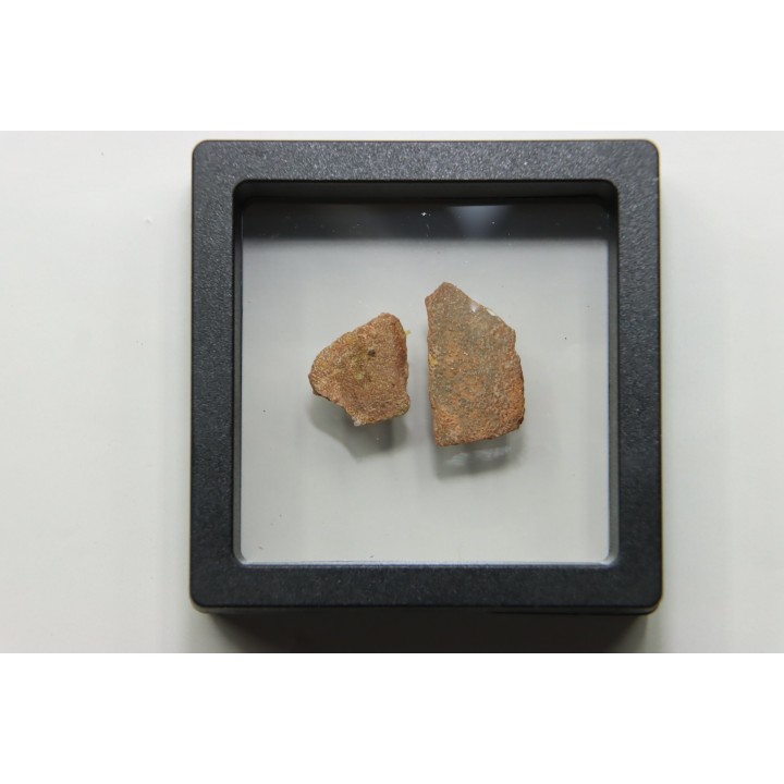 DINOSAUR egg shell MEGALOOLITHUS  - from dinosaur TITANOSAURE  HYPSELOSAURUS