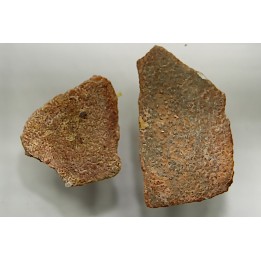 DINOSAUR egg shell MEGALOOLITHUS  - from dinosaur TITANOSAURE  HYPSELOSAURUS
