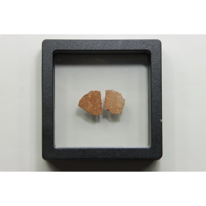 DINOSAUR egg shell MEGALOOLITHUS  - from dinosaur TITANOSAURE  HYPSELOSAURUS