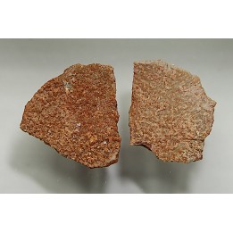 DINOSAUR egg shell MEGALOOLITHUS  - from dinosaur TITANOSAURE  HYPSELOSAURUS