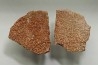 DINOSAUR egg shell MEGALOOLITHUS  - from dinosaur TITANOSAURE  HYPSELOSAURUS