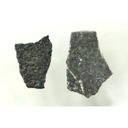 coquilles d œuf de dinosaure à bec de canard: Maiasaura