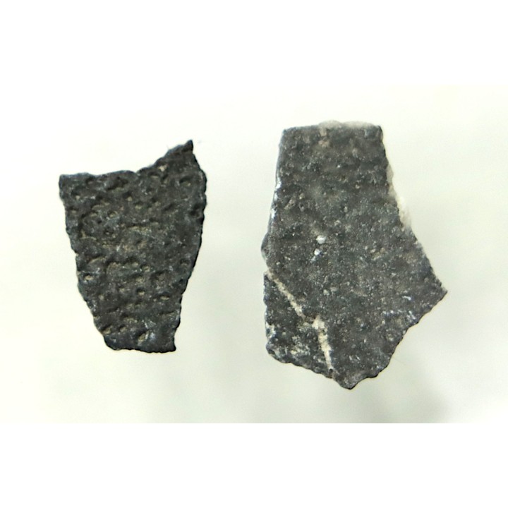 coquilles d œuf de dinosaure à bec de canard: Maiasaura