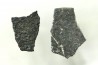 dinosaur maiasaura egg shell