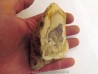 FOSSIL WOOD: CEDAR -Tertiaire - Mc Dermit, Oregon, USA