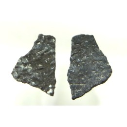 dinosaur maiasaura egg shell