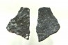 dinosaur maiasaura egg shell